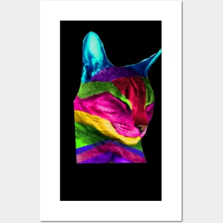 Multicolored Cat Posters and Art